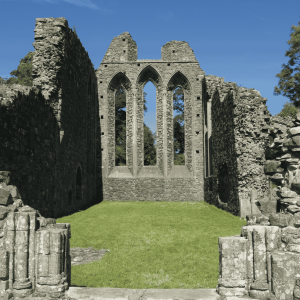 Inch Abbey - Peace & Tranquility