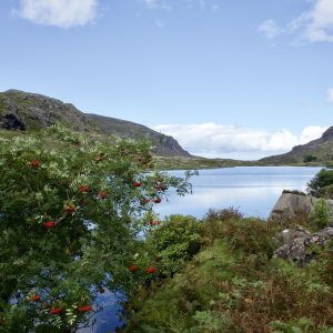 Black Lake - Killarney