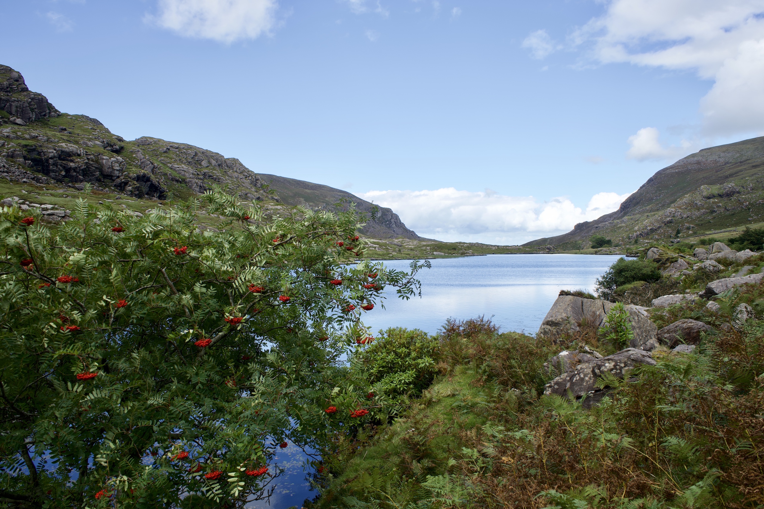 Black Lake - Killarney