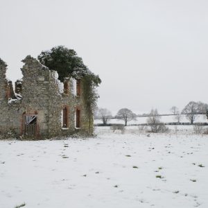 Snow School