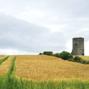 Waiting for Harvest - Ballybryan Windmill