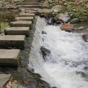 Water Walk